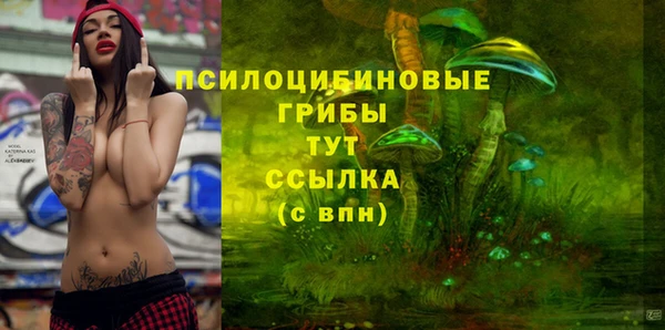 дмт Зерноград