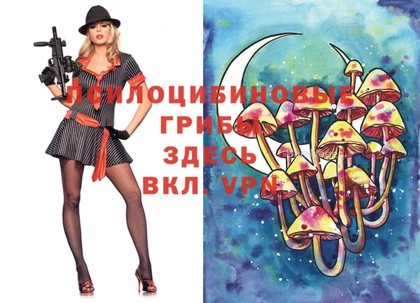 скорость Новосибирск