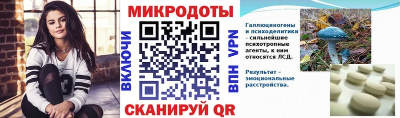 Галлюциногенные грибы мухоморы  Заозёрный 